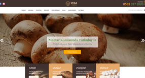 Vega Mantar